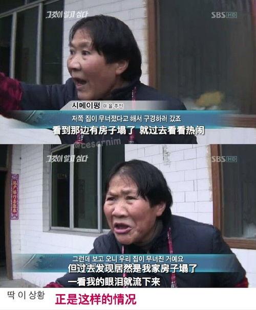 吃瓜社会最新爆料,最新爆料事件深度解析